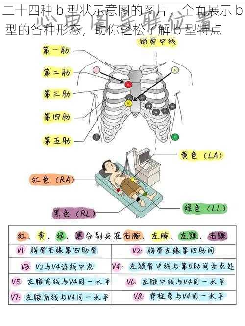 二十四种 b 型状示意图的图片，全面展示 b 型的各种形态，助你轻松了解 b 型特点