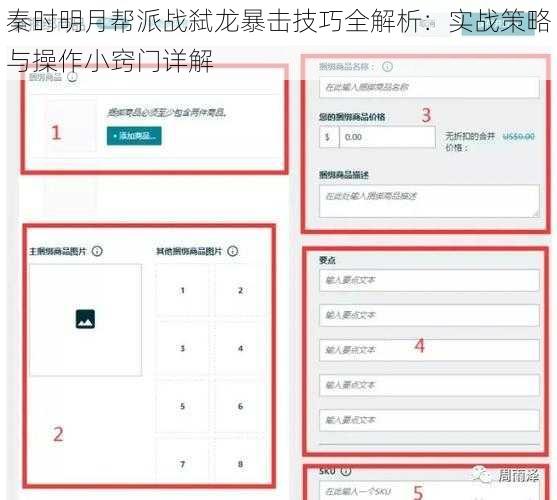 秦时明月帮派战弑龙暴击技巧全解析：实战策略与操作小窍门详解