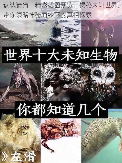 认认猜猜：精彩截图预览，揭秘未知世界，带你领略神秘面纱下的真相探索