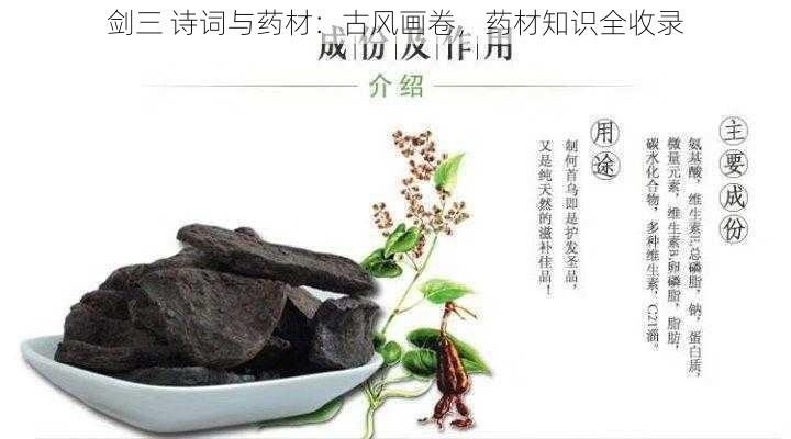 剑三 诗词与药材：古风画卷，药材知识全收录