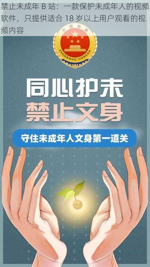 禁止未成年 B 站：一款保护未成年人的视频软件，只提供适合 18 岁以上用户观看的视频内容