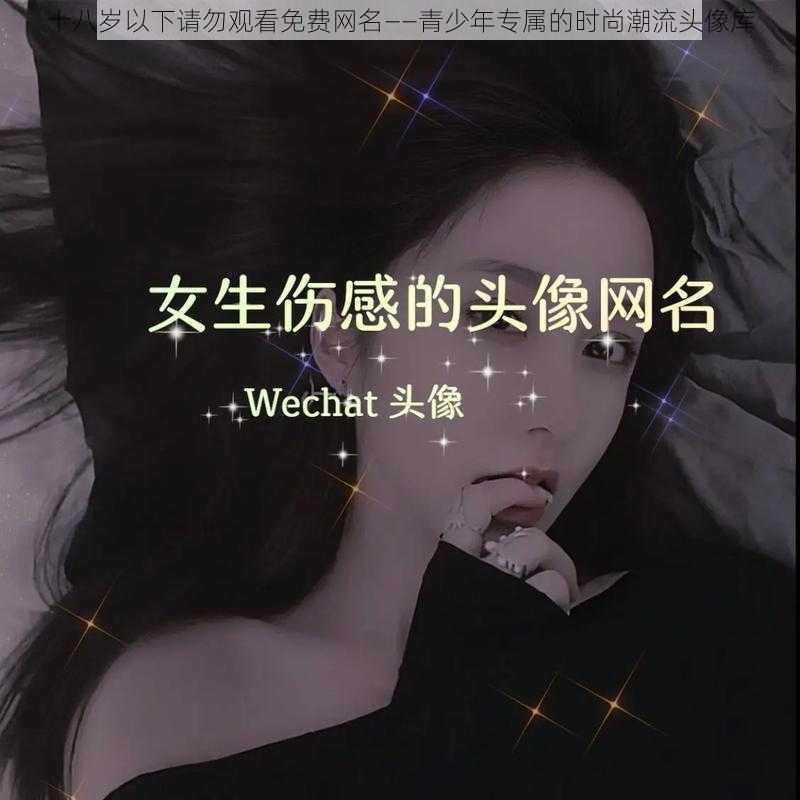 十八岁以下请勿观看免费网名——青少年专属的时尚潮流头像库