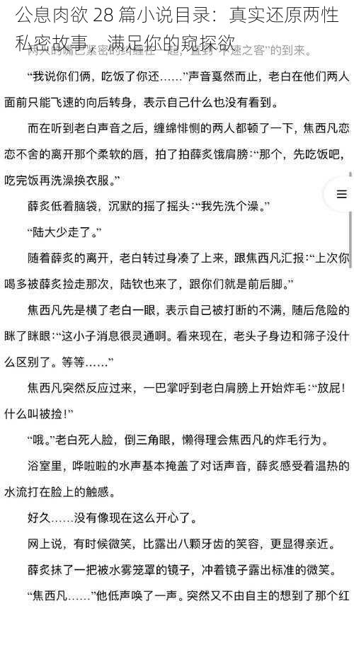 公息肉欲 28 篇小说目录：真实还原两性私密故事，满足你的窥探欲