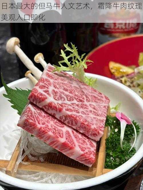 日本最大的但马牛人文艺术，霜降牛肉纹理美观入口即化