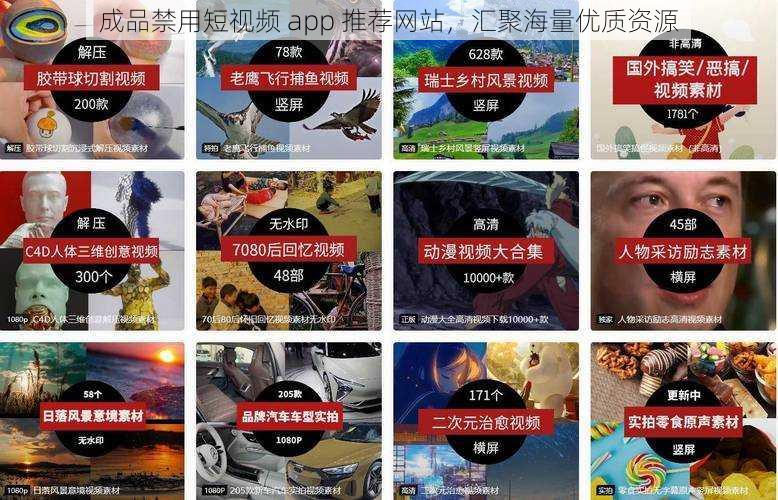 成品禁用短视频 app 推荐网站，汇聚海量优质资源