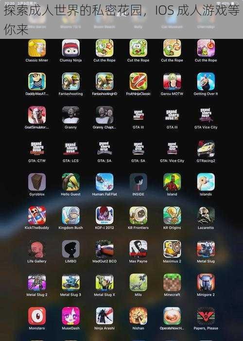 探索成人世界的私密花园，IOS 成人游戏等你来