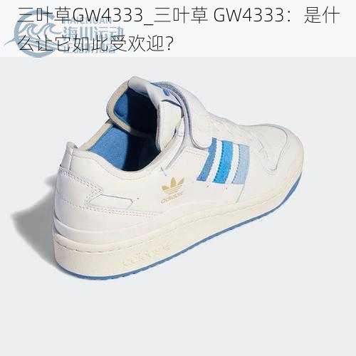 三叶草GW4333_三叶草 GW4333：是什么让它如此受欢迎？