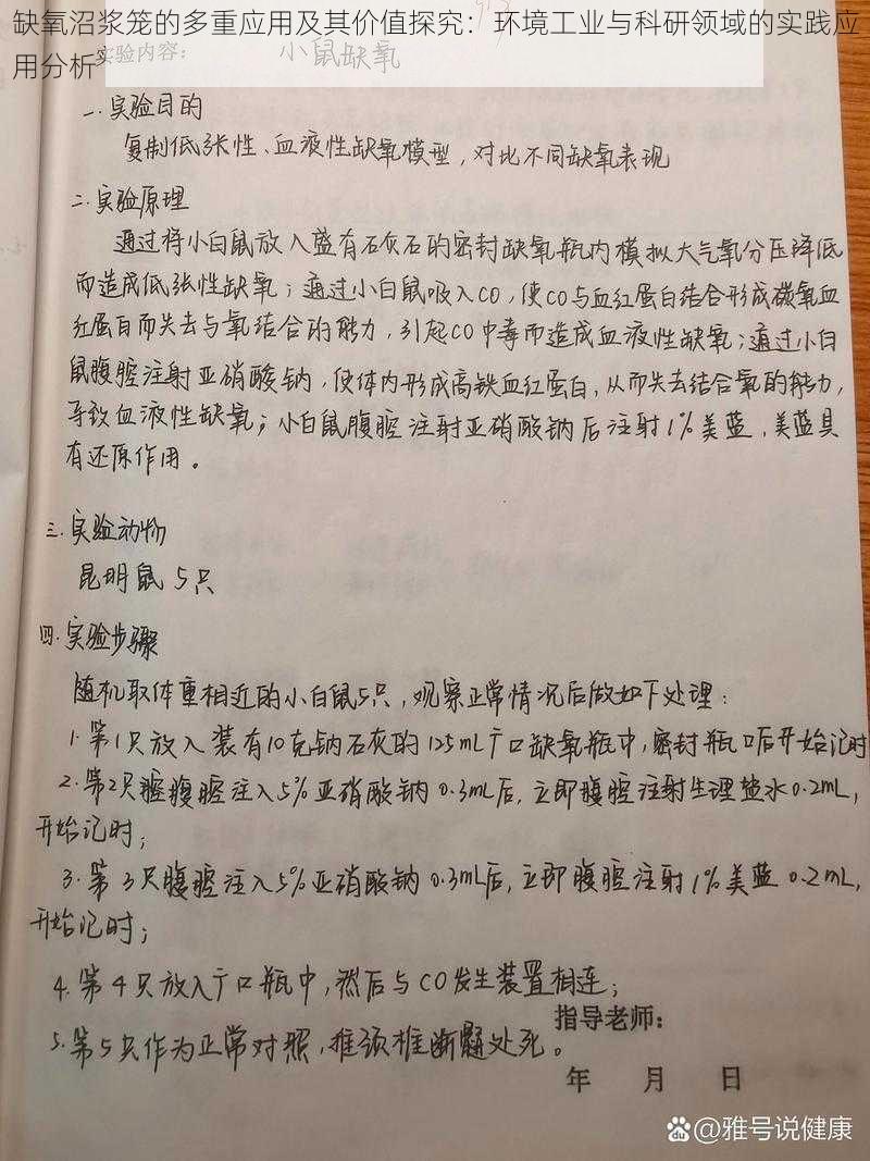 缺氧沼浆笼的多重应用及其价值探究：环境工业与科研领域的实践应用分析