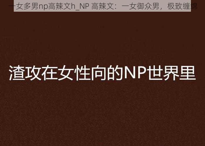 一女多男np高辣文h_NP 高辣文：一女御众男，极致缠绵