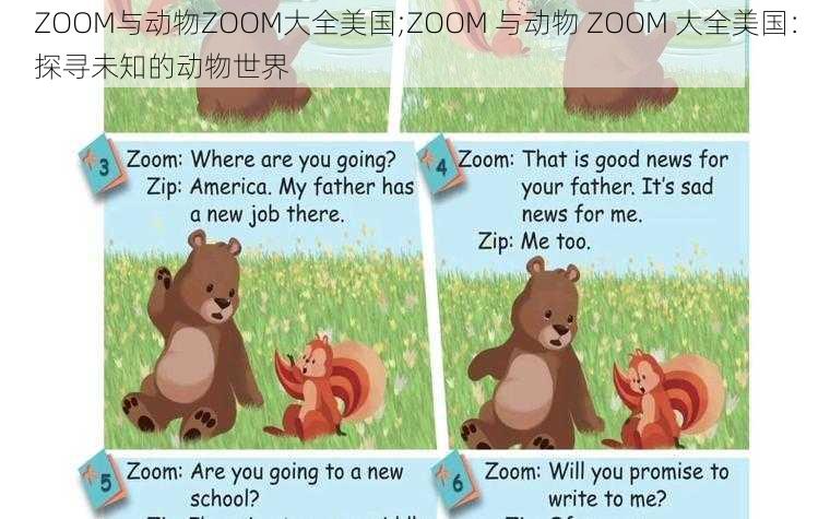 ZOOM与动物ZOOM大全美国;ZOOM 与动物 ZOOM 大全美国：探寻未知的动物世界