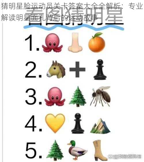 猜明星脸运动员关卡答案大全全解析：专业解读明星面孔背后的运动故事