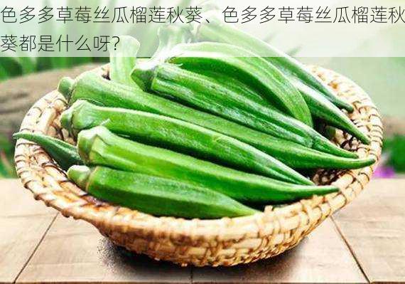 色多多草莓丝瓜榴莲秋葵、色多多草莓丝瓜榴莲秋葵都是什么呀？