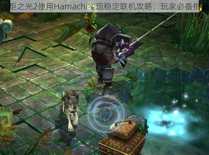 火炬之光2使用Hamachi实现稳定联机攻略：玩家必备指南