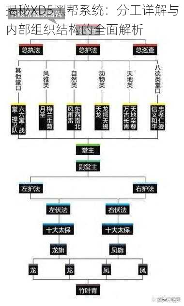 揭秘XD5黑帮系统：分工详解与内部组织结构的全面解析