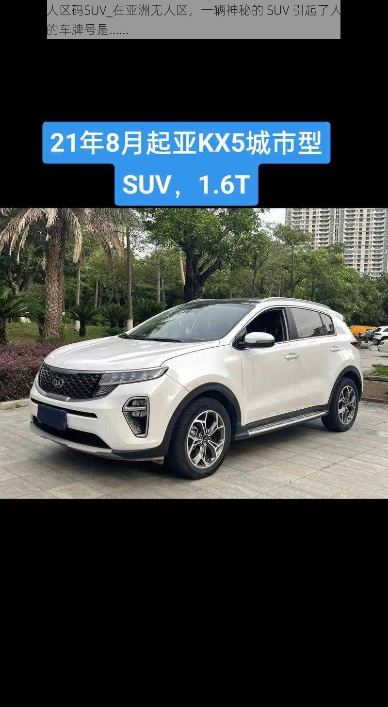 亚洲无人区码SUV_在亚洲无人区，一辆神秘的 SUV 引起了人们的注意，它的车牌号是……