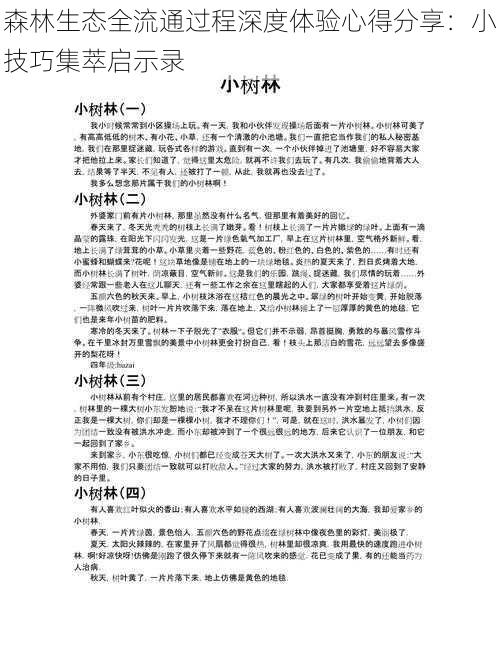 森林生态全流通过程深度体验心得分享：小技巧集萃启示录