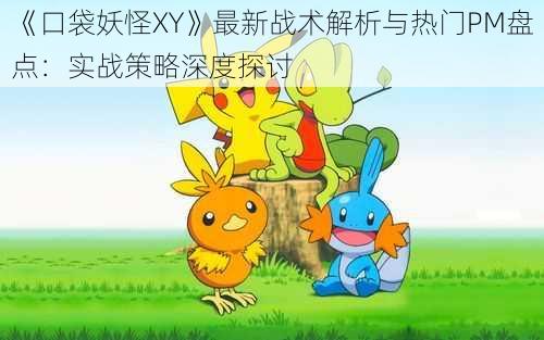 《口袋妖怪XY》最新战术解析与热门PM盘点：实战策略深度探讨