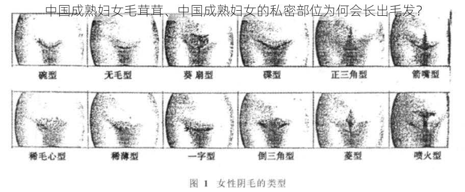 中国成熟妇女毛茸茸、中国成熟妇女的私密部位为何会长出毛发？