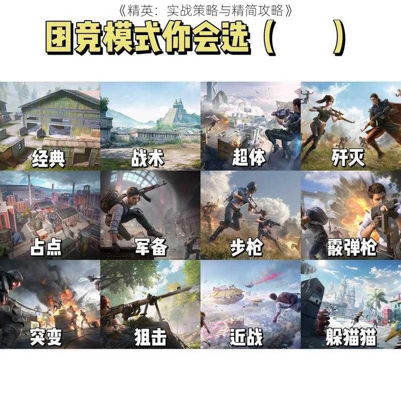 《精英：实战策略与精简攻略》