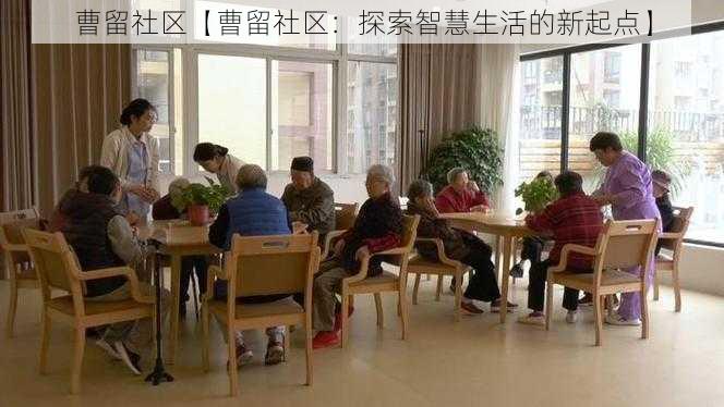 曹留社区【曹留社区：探索智慧生活的新起点】