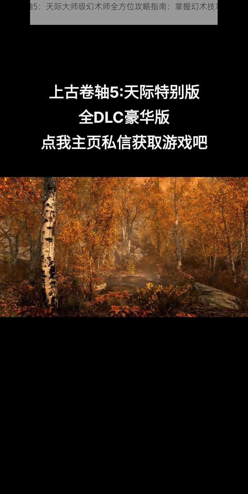 上古卷轴5：天际大师级幻术师全方位攻略指南：掌握幻术技巧，征服天际限