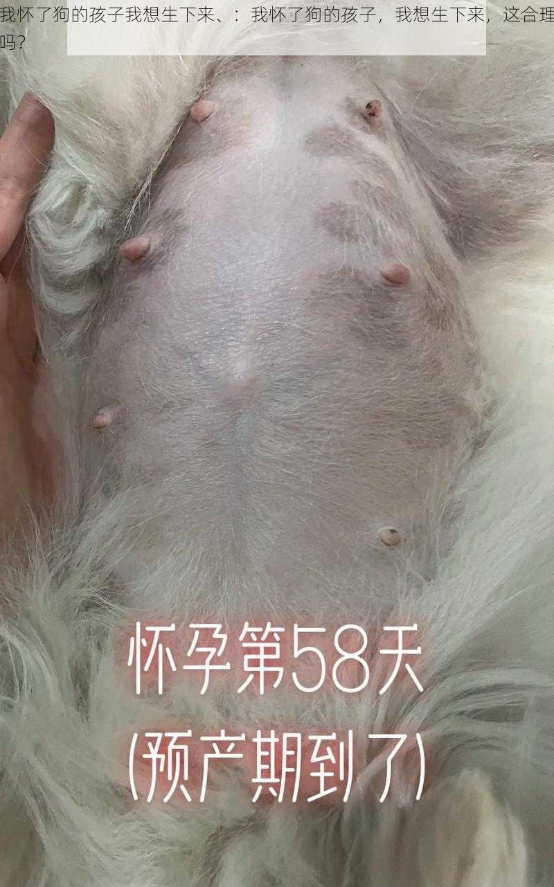 我怀了狗的孩子我想生下来、：我怀了狗的孩子，我想生下来，这合理吗？