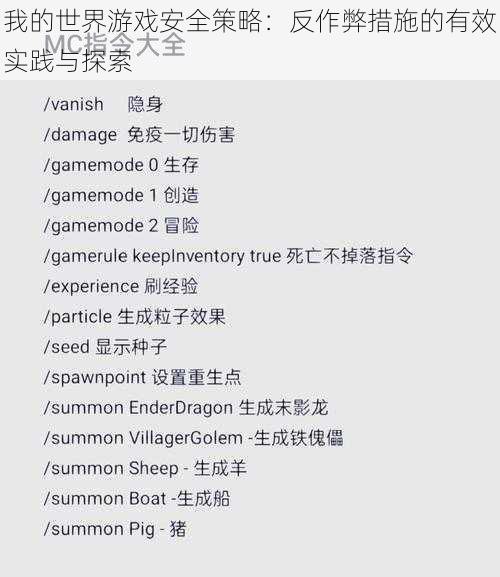我的世界游戏安全策略：反作弊措施的有效实践与探索