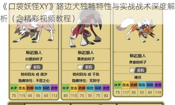 《口袋妖怪XY》路边犬独特特性与实战战术深度解析（含精彩视频教程）