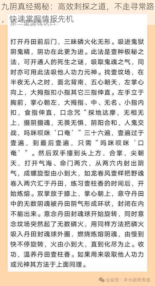 九阴真经揭秘：高效刺探之道，不走寻常路，快速掌握情报先机