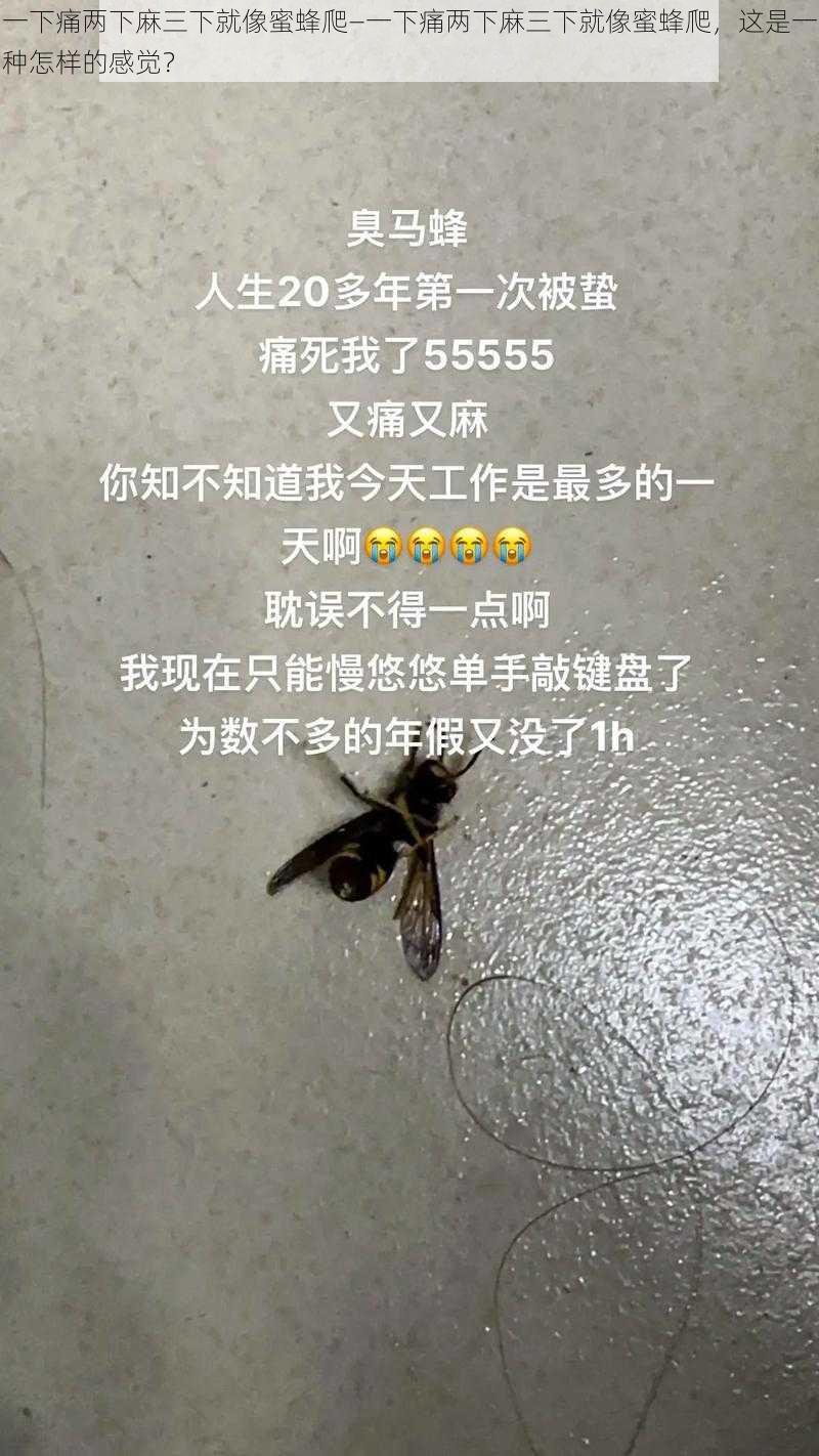 一下痛两下麻三下就像蜜蜂爬—一下痛两下麻三下就像蜜蜂爬，这是一种怎样的感觉？