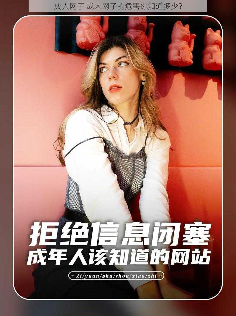 成人网子 成人网子的危害你知道多少?