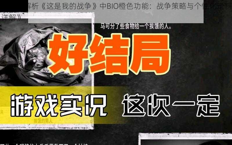 《深入解析《这是我的战争》中BIO橙色功能：战争策略与个性化定制详解》