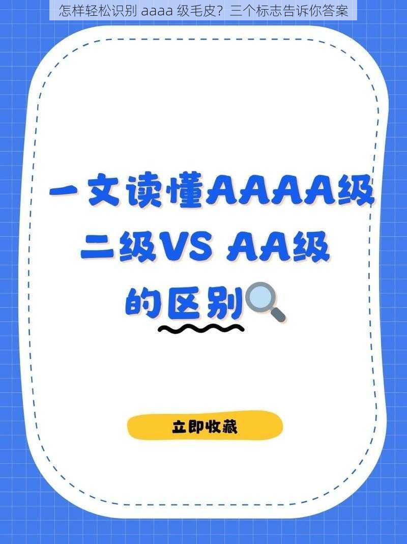 怎样轻松识别 aaaa 级毛皮？三个标志告诉你答案