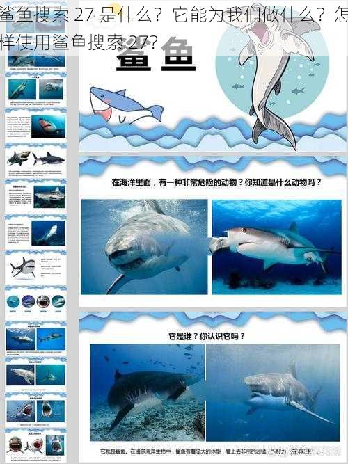 鲨鱼搜索 27 是什么?它能为我们做什么?怎样使用鲨鱼搜索 27?