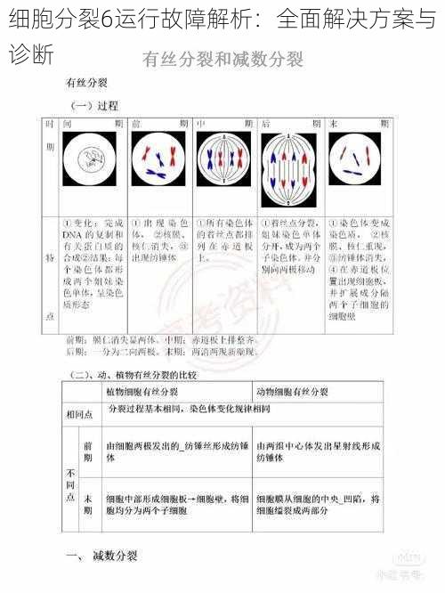 细胞分裂6运行故障解析：全面解决方案与诊断