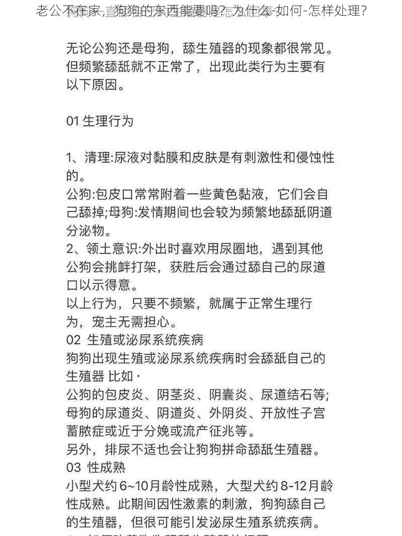 老公不在家，狗狗的东西能要吗？为什么-如何-怎样处理？