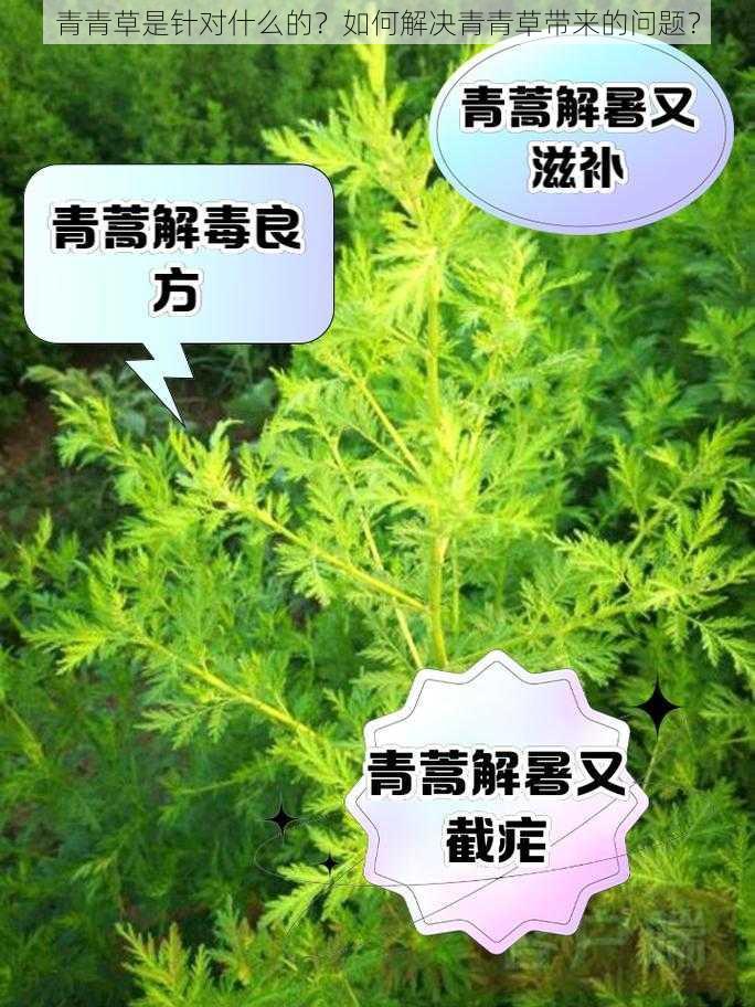 青青草是针对什么的？如何解决青青草带来的问题？