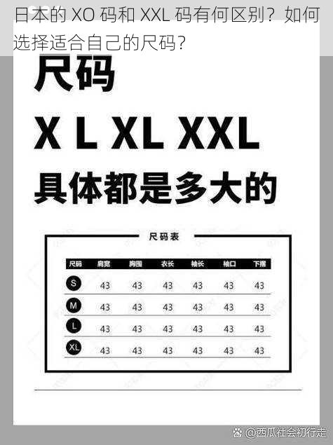 日本的 XO 码和 XXL 码有何区别？如何选择适合自己的尺码？