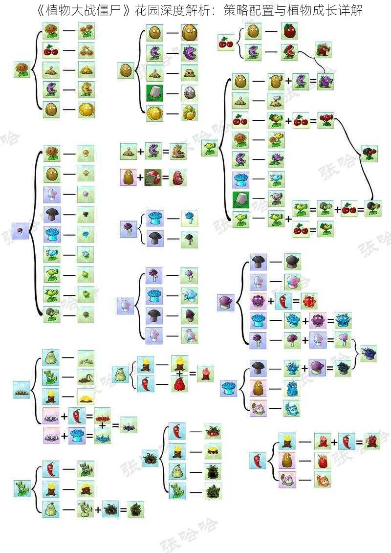 《植物大战僵尸》花园深度解析：策略配置与植物成长详解