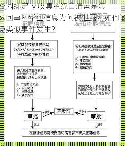 校园绑定 jy 收集系统白清素是怎么回事？学生信息为何被泄露？如何避免类似事件发生？