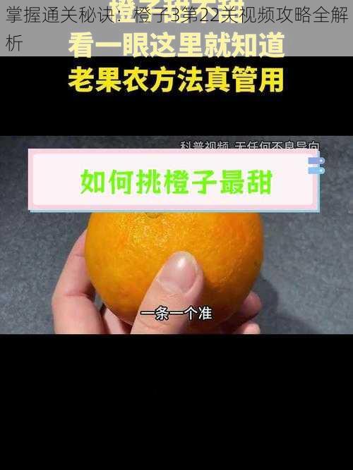 掌握通关秘诀：橙子3第22关视频攻略全解析