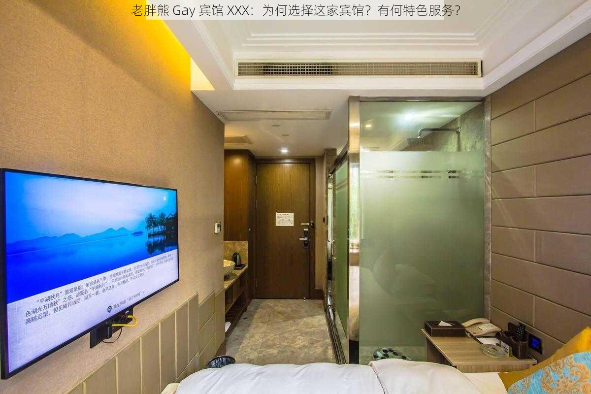 老胖熊 Gay 宾馆 XXX：为何选择这家宾馆？有何特色服务？