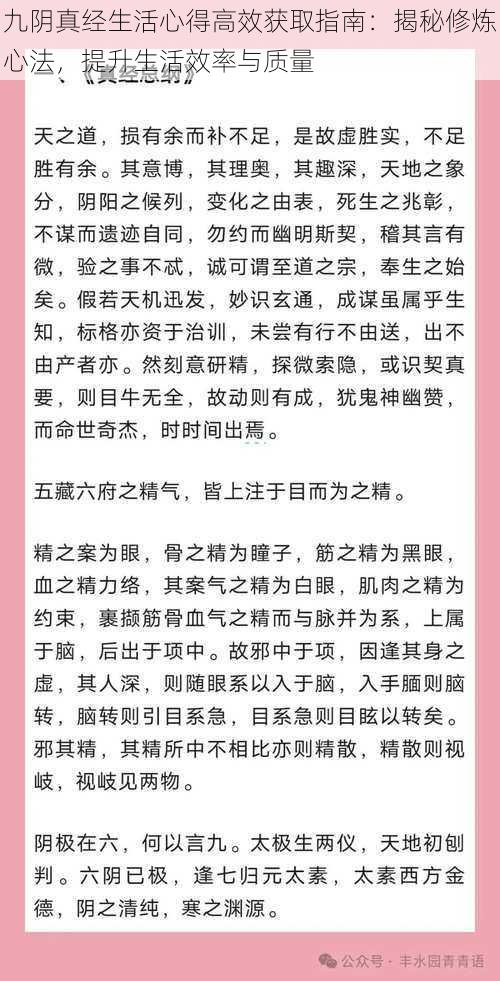 九阴真经生活心得高效获取指南：揭秘修炼心法，提升生活效率与质量