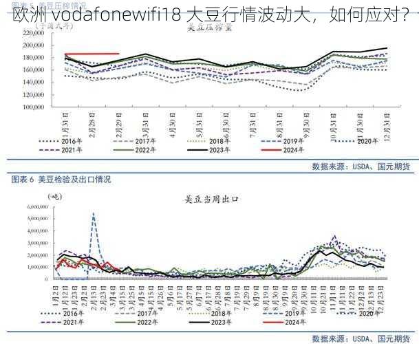 欧洲 vodafonewifi18 大豆行情波动大，如何应对？