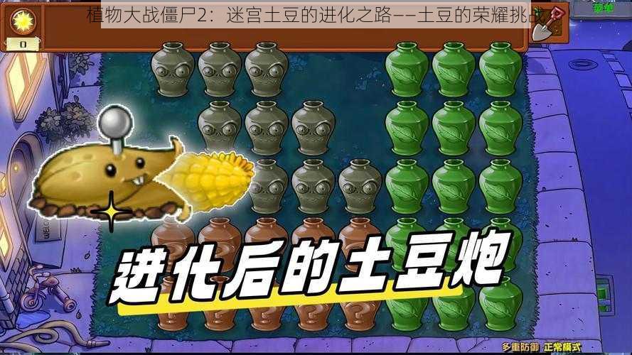 植物大战僵尸2：迷宫土豆的进化之路——土豆的荣耀挑战