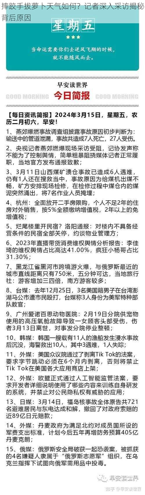 摔跤手拔萝卜天气如何？记者深入采访揭秘背后原因