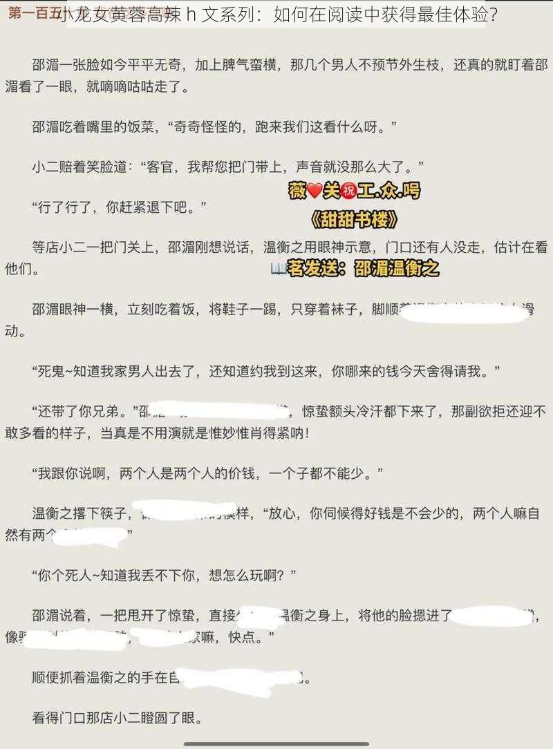 小龙女黄蓉高辣 h 文系列：如何在阅读中获得最佳体验？