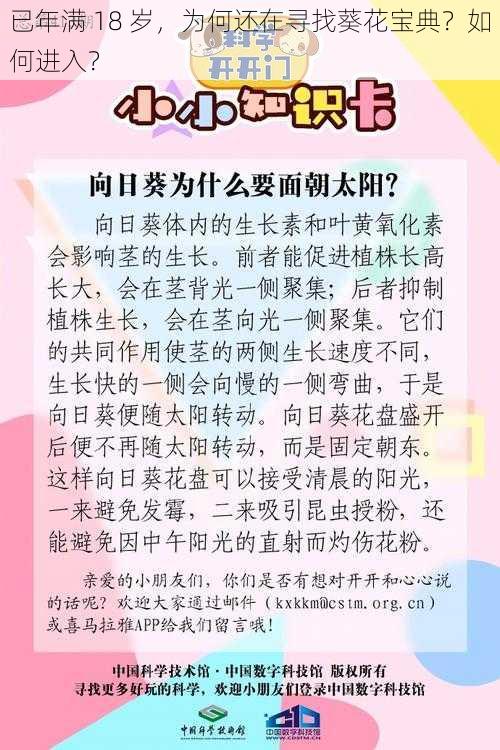 已年满 18 岁，为何还在寻找葵花宝典？如何进入？