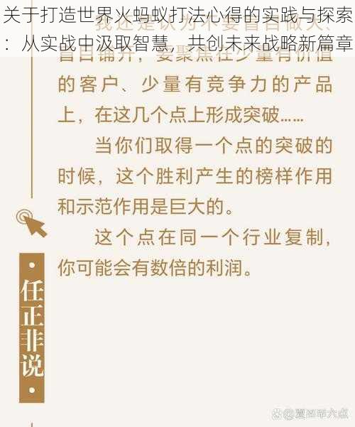 关于打造世界火蚂蚁打法心得的实践与探索：从实战中汲取智慧，共创未来战略新篇章