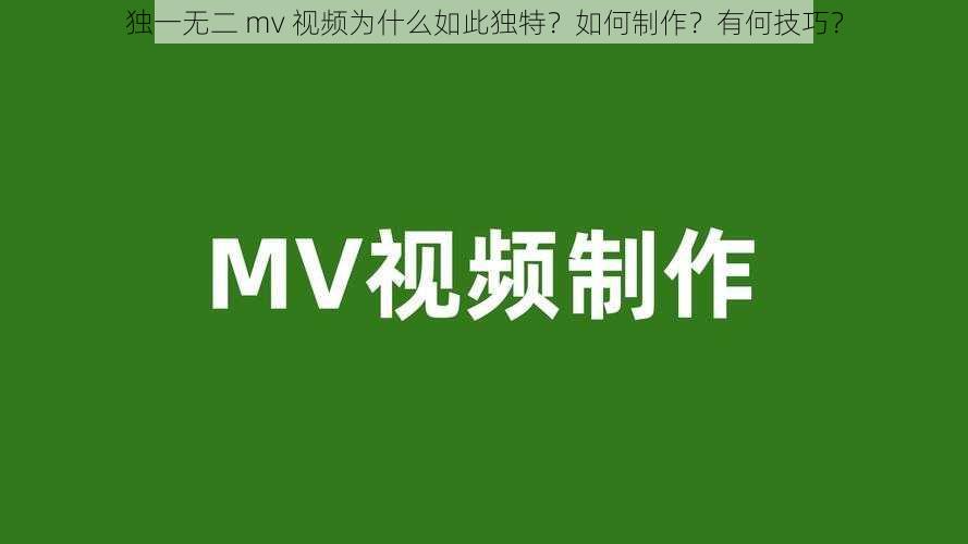 独一无二 mv 视频为什么如此独特？如何制作？有何技巧？